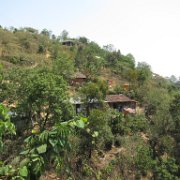 alseseca _huauchinango15